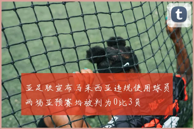 亚足联宣布马来西亚违规使用球员两场亚预赛均被判为0比3负