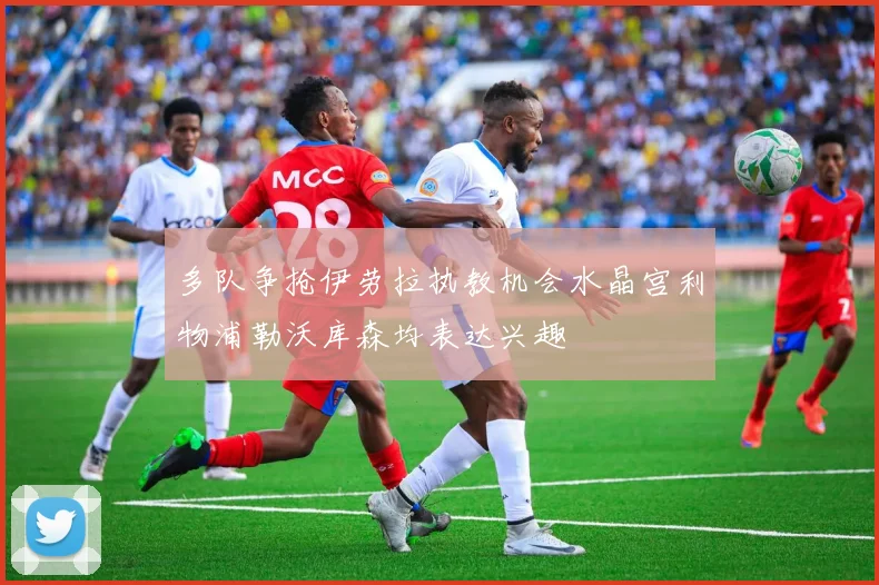 多队争抢伊劳拉执教机会水晶宫利物浦勒沃库森均表达兴趣